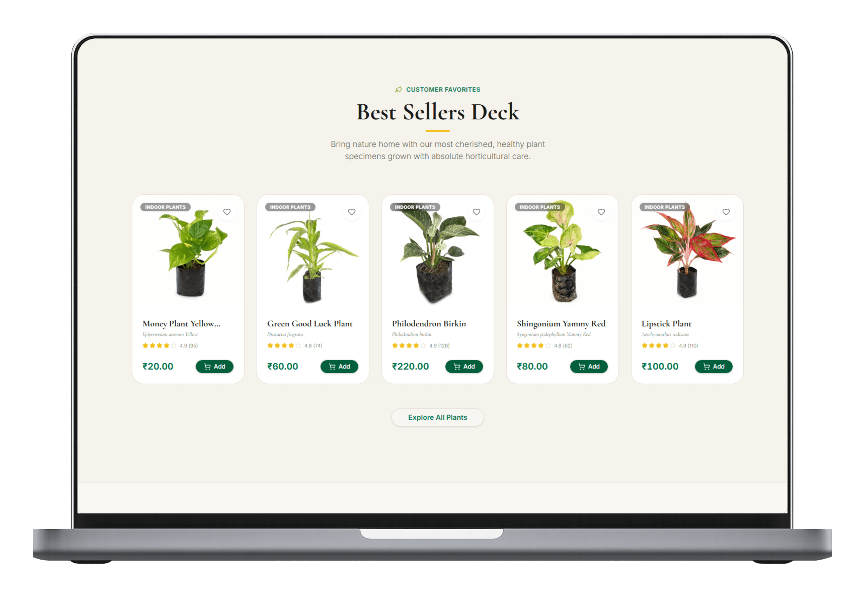 Featured indoor plant showcase section highlighting desk-friendly succulents, care guides, and interactive lighting recommendations.